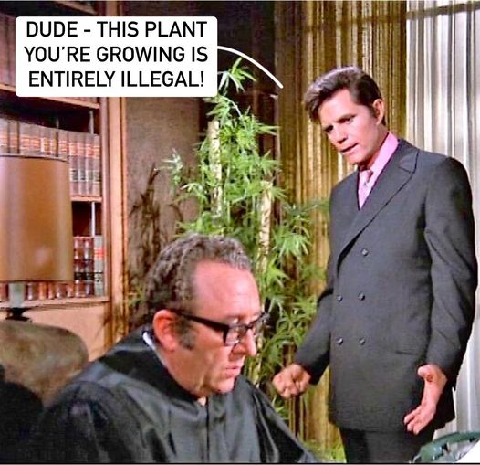 Name:  pot.jpg
Views: 918
Size:  58.2 KB